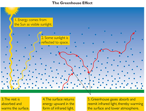 Figure 1.4