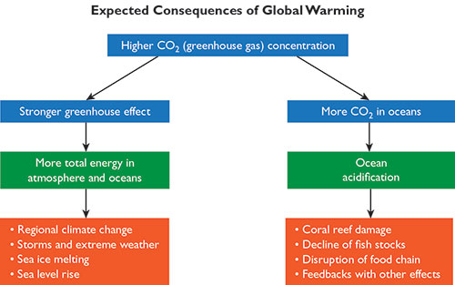 Climate Change Flow Chart